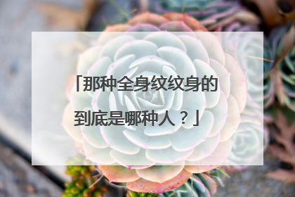那种全身纹纹身的到底是哪种人？