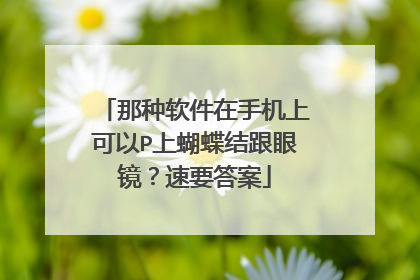 那种软件在手机上可以P上蝴蝶结跟眼镜？速要答案