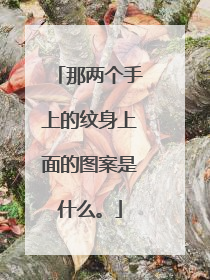 那两个手上的纹身上面的图案是什么。