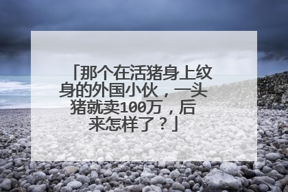 那个在活猪身上纹身的外国小伙，一头猪就卖100万，后来怎样了？