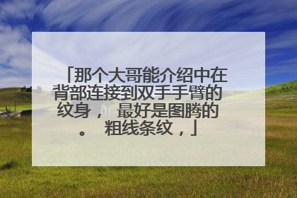 那个大哥能介绍中在背部连接到双手手臂的纹身, 最好是图腾的。 粗线条纹,