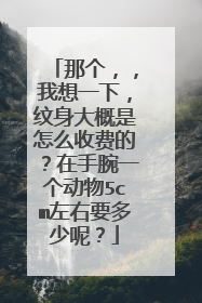 那个，，我想一下，纹身大概是怎么收费的？在手腕一个动物5cm左右要多少呢？