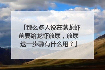 那么多人说在蒸龙虾前要给龙虾放尿，放尿这一步骤有什么用？