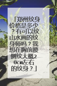 郑州纹身价格是多少？有可以纹山水画的纹身师吗？我想在胸前腰侧纹大概20cm左右的纹身？