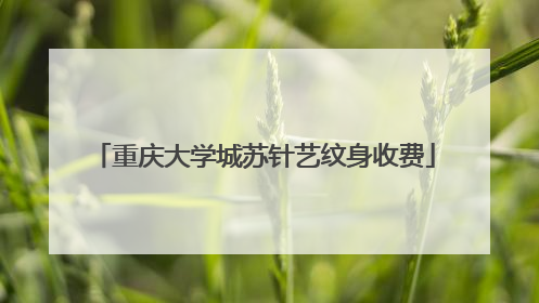 重庆大学城苏针艺纹身收费