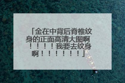 金在中背后脊椎纹身的正面高清大图啊！！！！我要去纹身啊！！！！！！