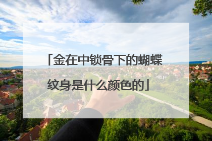 金在中锁骨下的蝴蝶纹身是什么颜色的