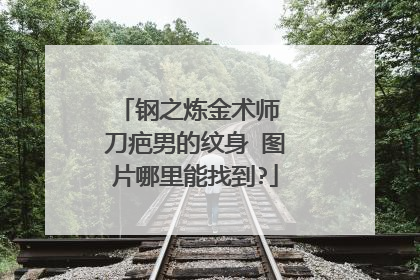 钢之炼金术师 刀疤男的纹身 图片哪里能找到?