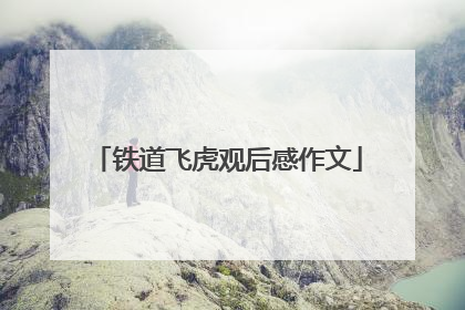 铁道飞虎观后感作文