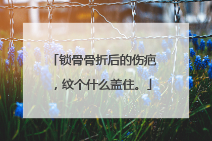 锁骨骨折后的伤疤，纹个什么盖住。