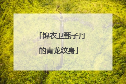 锦衣卫甄子丹的青龙纹身