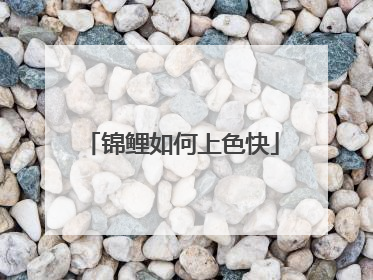 锦鲤如何上色快