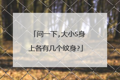 问一下,大小S身上各有几个纹身?