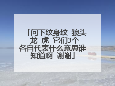 问下纹身纹 狼头 龙 虎 它们3个各自代表什么意思谁知道啊 谢谢