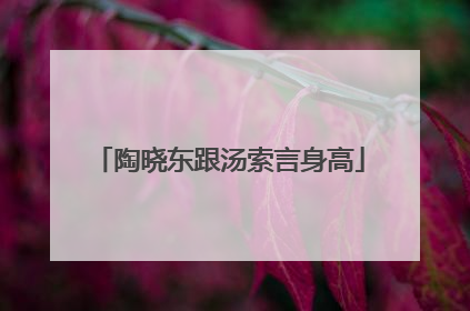 陶晓东跟汤索言身高
