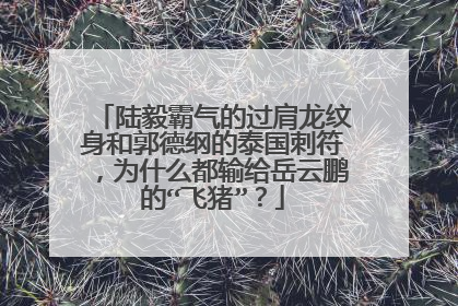 陆毅霸气的过肩龙纹身和郭德纲的泰国刺符，为什么都输给岳云鹏的“飞猪”？
