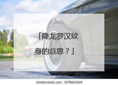 降龙罗汉纹身的意思？