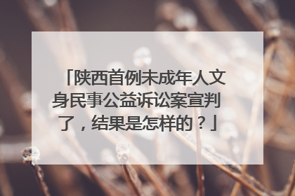 陕西首例未成年人文身民事公益诉讼案宣判了，结果是怎样的？