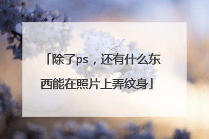 除了ps，还有什么东西能在照片上弄纹身