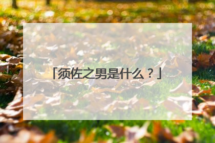 须佐之男是什么？