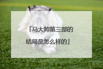 马大帅第三部的结局是怎么样的