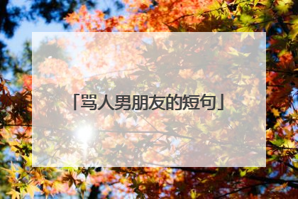 骂人男朋友的短句