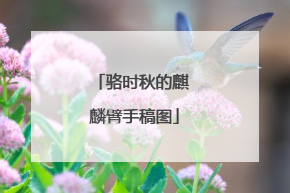 骆时秋的麒麟臂手稿图