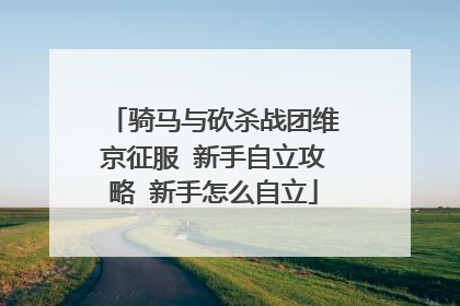 骑马与砍杀战团维京征服 新手自立攻略 新手怎么自立