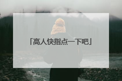 高人快指点一下吧