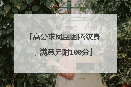 高分求凤凰图腾纹身，满意另附100分