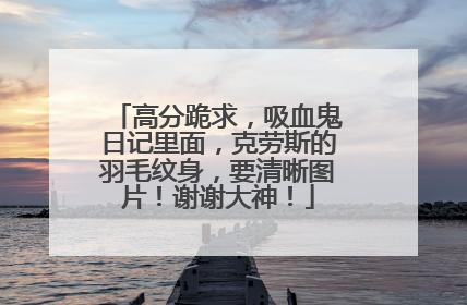 高分跪求，吸血鬼日记里面，克劳斯的羽毛纹身，要清晰图片！谢谢大神！