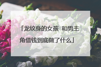 龙纹身的女孩 和男主角借钱到底做了什么