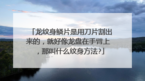龙纹身鳞片是用刀片割出来的，就好像龙盘在手臂上，那叫什么纹身方法?