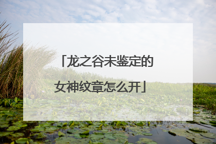 龙之谷未鉴定的女神纹章怎么开