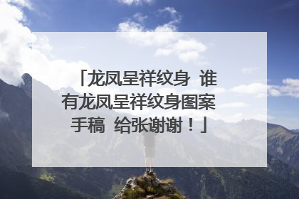龙凤呈祥纹身 谁有龙凤呈祥纹身图案手稿 给张谢谢!