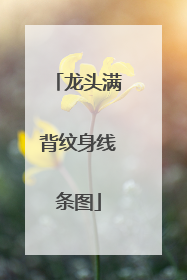 龙头满背纹身线条图