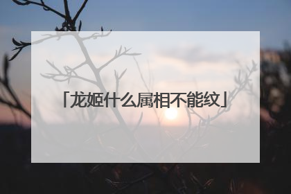 龙姬什么属相不能纹