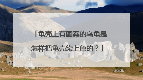龟壳上有图案的乌龟是怎样把龟壳染上色的？