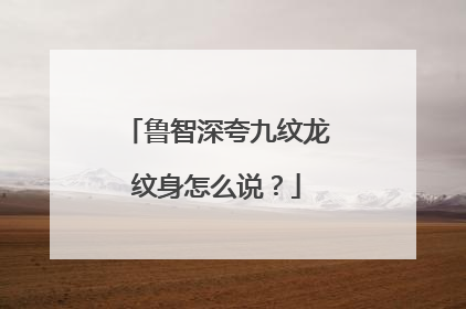 鲁智深夸九纹龙纹身怎么说？