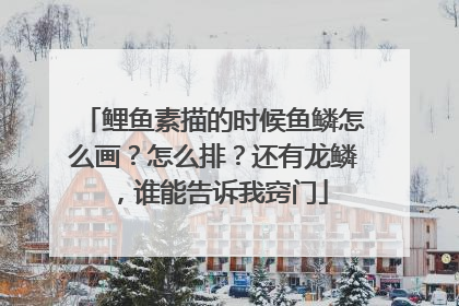鲤鱼素描的时候鱼鳞怎么画？怎么排？还有龙鳞，谁能告诉我窍门