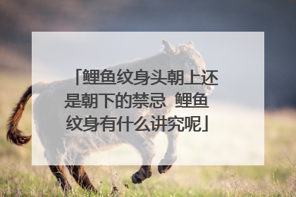 鲤鱼纹身头朝上还是朝下的禁忌 鲤鱼纹身有什么讲究呢