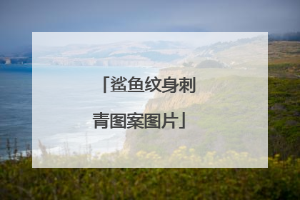 鲨鱼纹身刺青图案图片