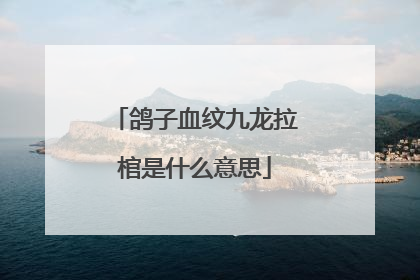 鸽子血纹九龙拉棺是什么意思