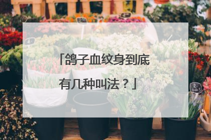 鸽子血纹身到底有几种叫法？