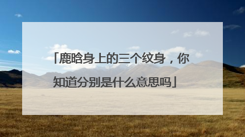鹿晗身上的三个纹身，你知道分别是什么意思吗