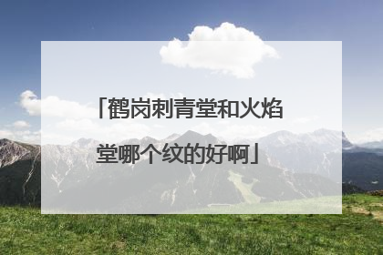 鹤岗刺青堂和火焰堂哪个纹的好啊