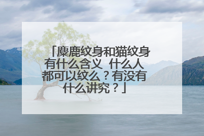 麋鹿纹身和猫纹身有什么含义 什么人都可以纹么？有没有什么讲究？