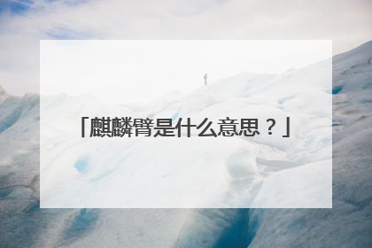 麒麟臂是什么意思?