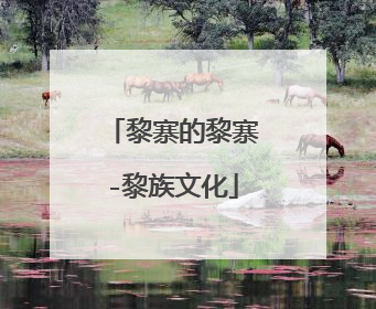 黎寨的黎寨-黎族文化