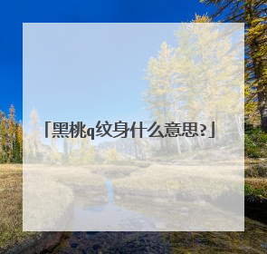 黑桃q纹身什么意思?
